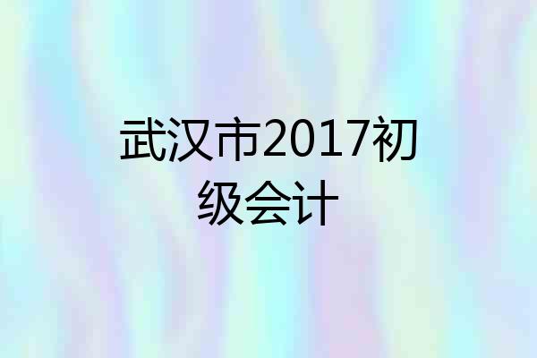 武汉市2017初级会计