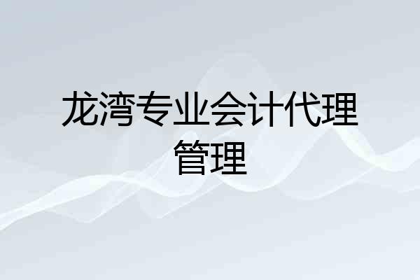 龙湾专业会计代理管理