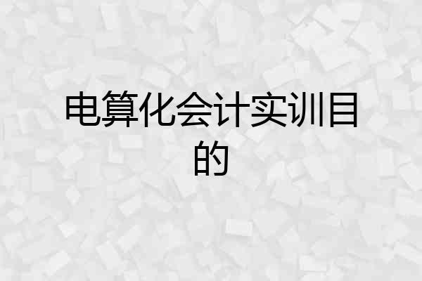 电算化会计实训目的