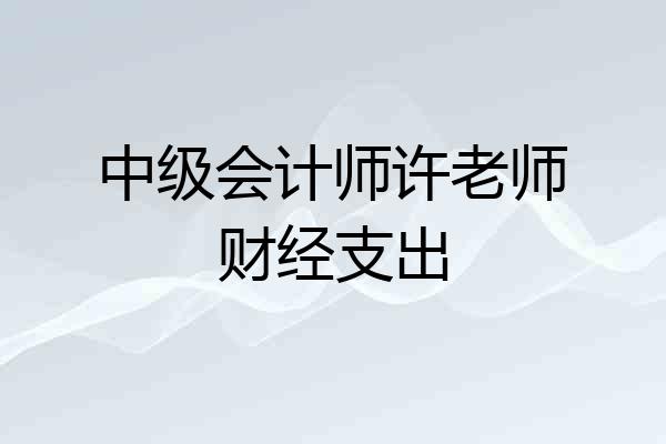 中级会计师许老师财经支出