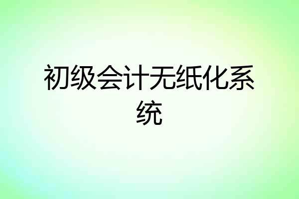 初级会计无纸化系统