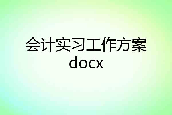 会计实习工作方案docx