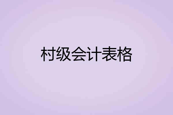 村级会计表格