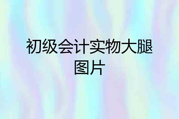 初级会计实物大腿图片