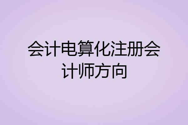 会计电算化注册会计师方向