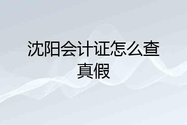 沈阳会计证怎么查真假