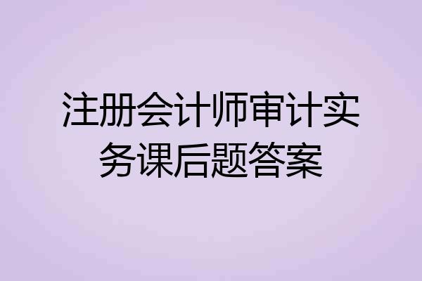 注册会计师审计实务课后题答案