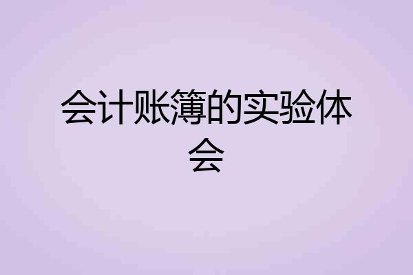 会计账簿的实验体会
