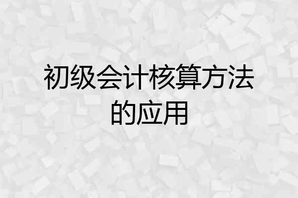 初级会计核算方法的应用