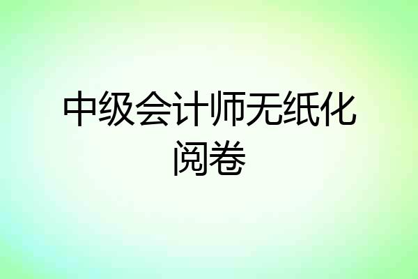 中级会计师无纸化阅卷