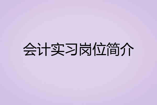 会计实习岗位简介