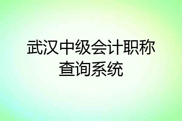 武汉中级会计职称查询系统