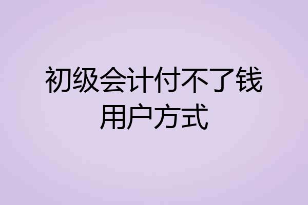 初级会计付不了钱用户方式