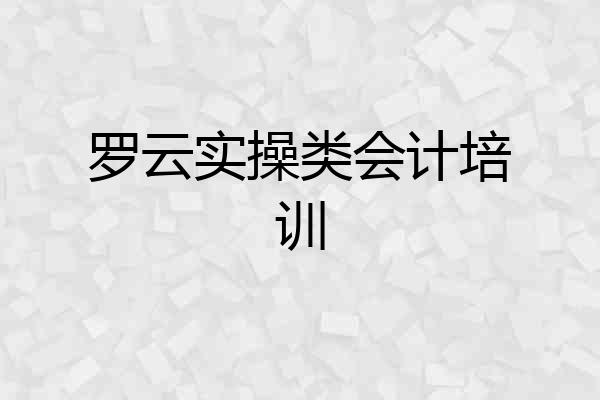 罗云实操类会计培训