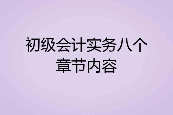 初级会计实务八个章节内容