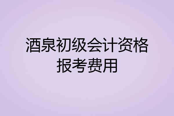 酒泉初级会计资格报考费用