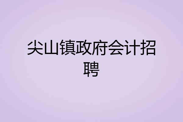 尖山镇政府会计招聘