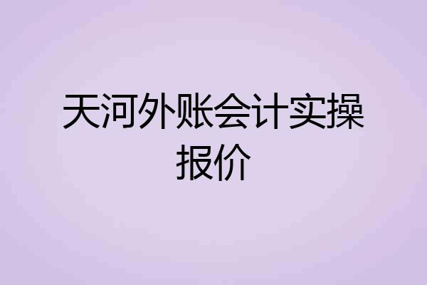 天河外账会计实操报价