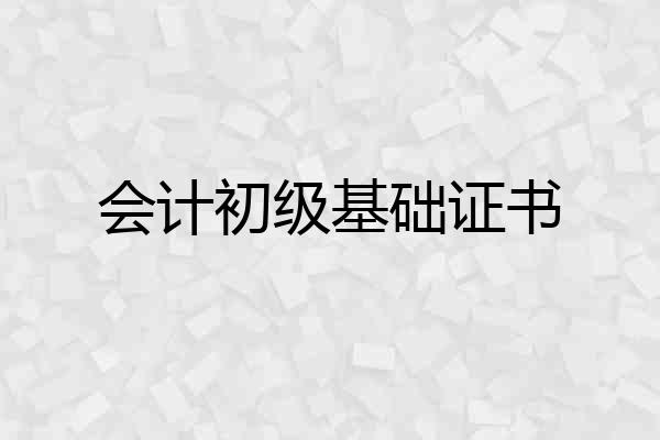 会计初级基础证书