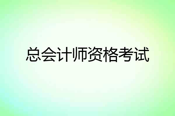 总会计师资格考试