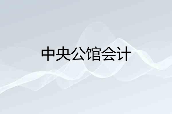 中央公馆会计