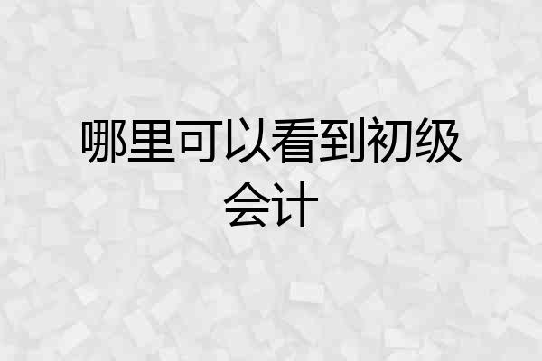 哪里可以看到初级会计