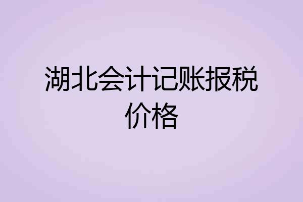 湖北会计记账报税价格
