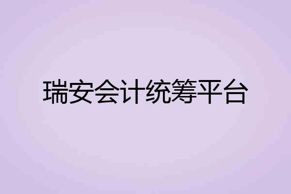 瑞安会计统筹平台