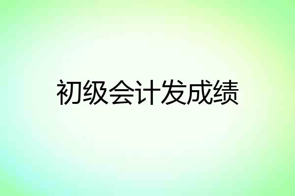 初级会计发成绩
