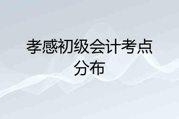 孝感初级会计考点分布