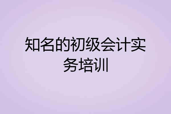 知名的初级会计实务培训