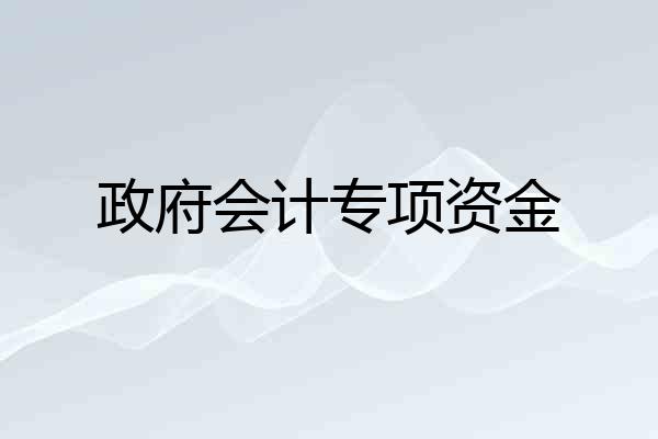 政府会计专项资金