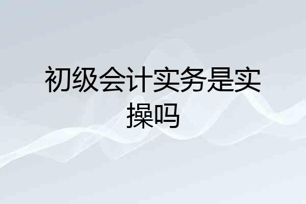 初级会计实务是实操吗