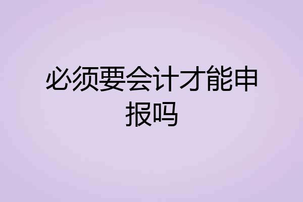 必须要会计才能申报吗