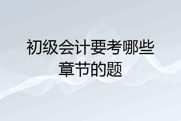 初级会计要考哪些章节的题