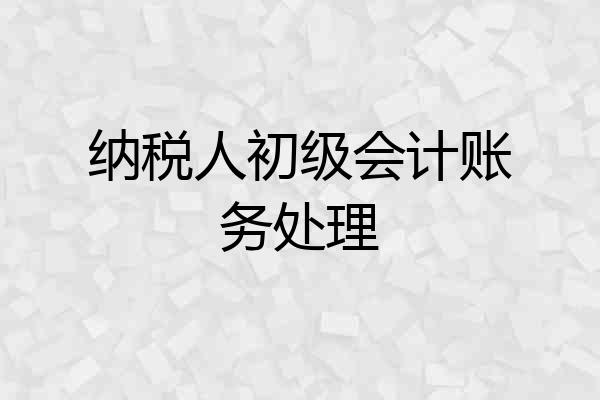纳税人初级会计账务处理