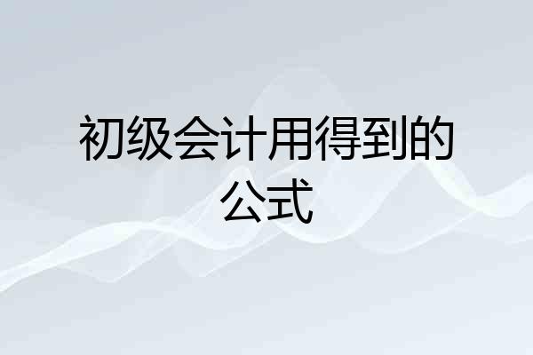 初级会计用得到的公式