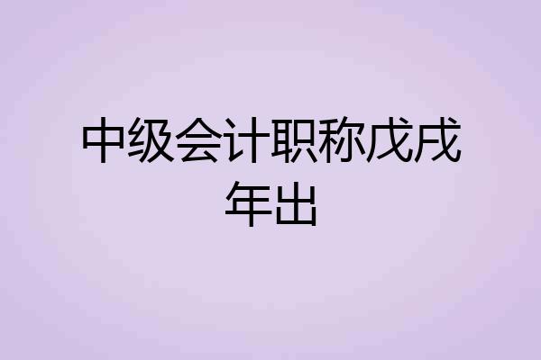 中级会计职称戊戌年出