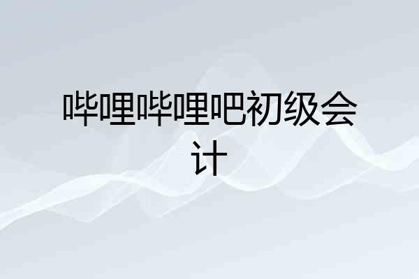 哔哩哔哩吧初级会计