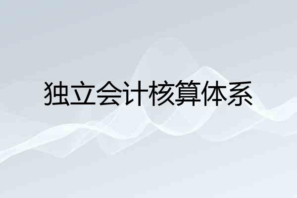独立会计核算体系