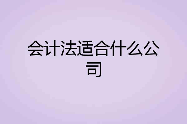 会计法适合什么公司