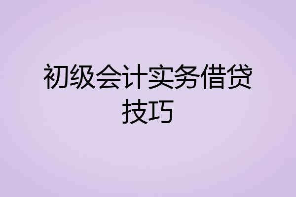 初级会计实务借贷技巧