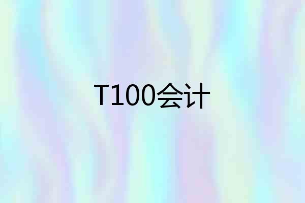 T100会计
