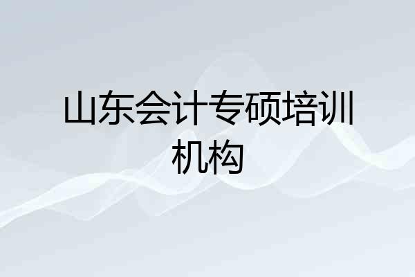 山东会计专硕培训机构