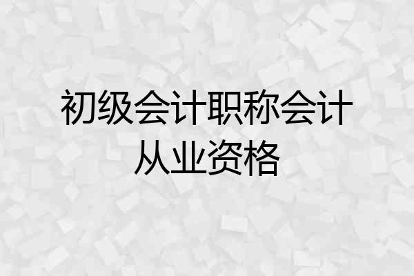 初级会计职称会计从业资格