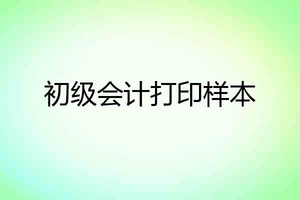 初级会计打印样本