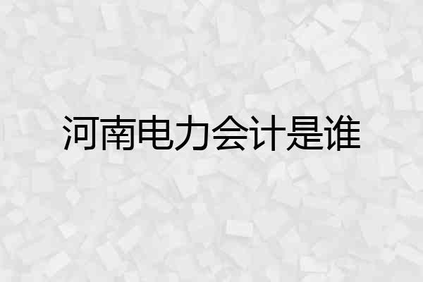河南电力会计是谁