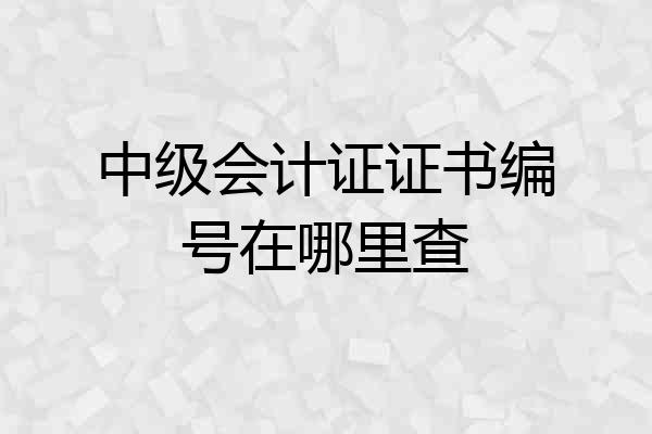 中级会计证证书编号在哪里查