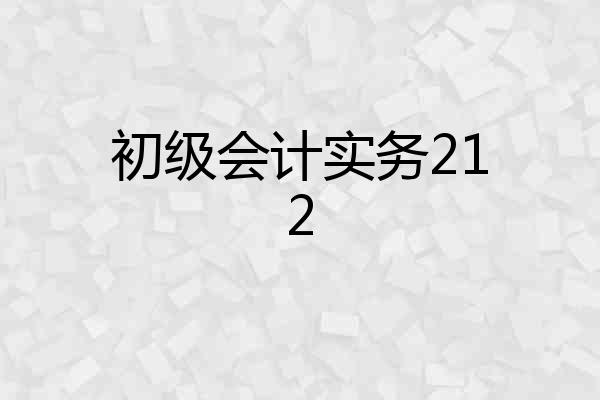 初级会计实务212