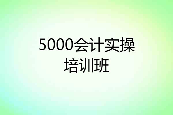 5000会计实操培训班